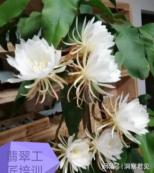 聊聊种植业：种地的现状(图3)