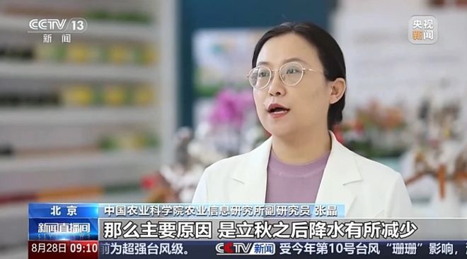 蔬菜价格开始回落绿叶菜降价最快(图2)