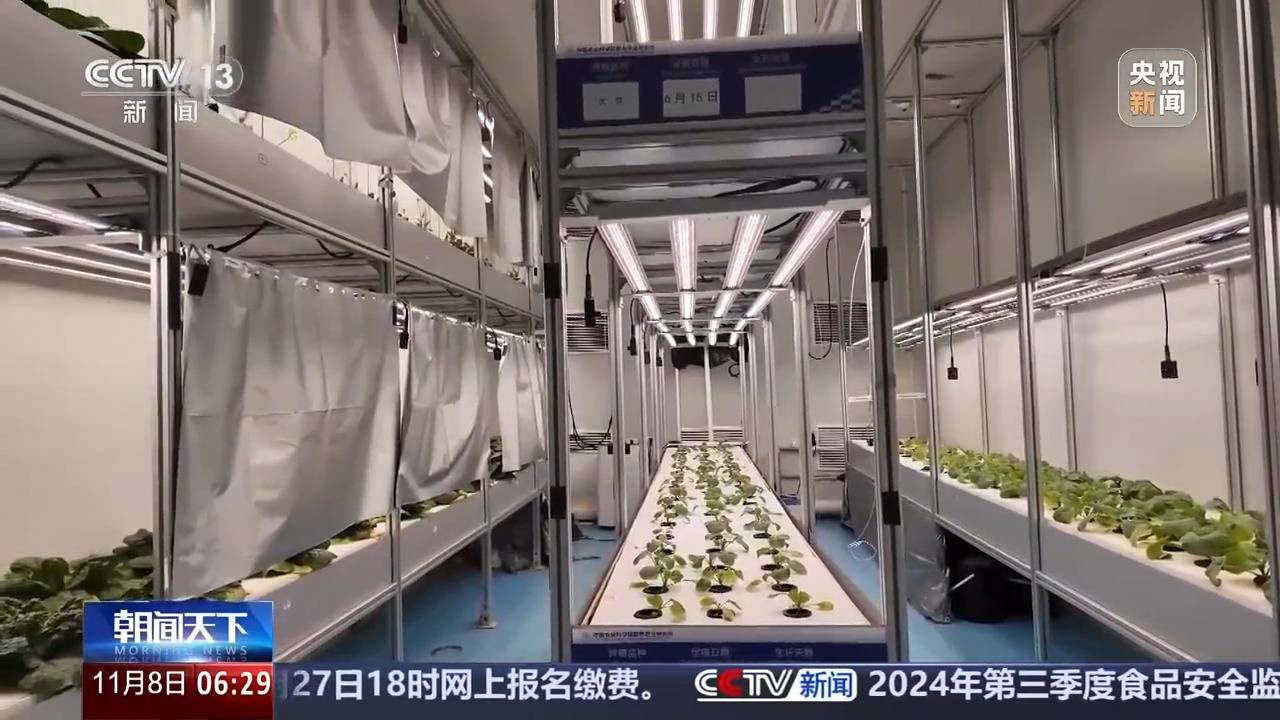 植物工厂长啥样？沙漠里能种水稻？揭秘种菜“黑科技”(图3)