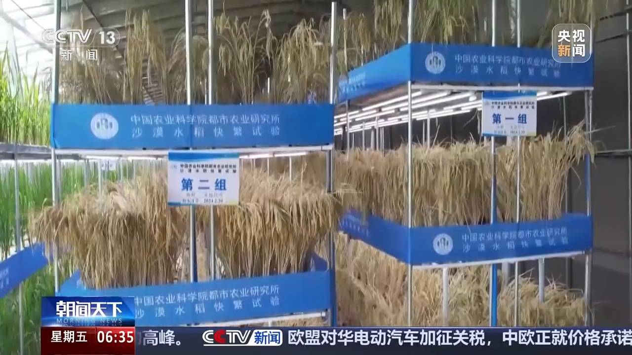 植物工厂长啥样？沙漠里能种水稻？揭秘种菜“黑科技”(图11)