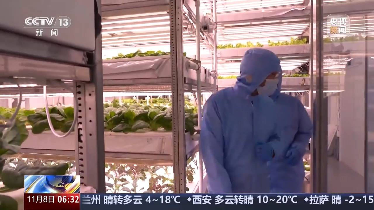 植物工厂长啥样？沙漠里能种水稻？揭秘种菜“黑科技”(图6)