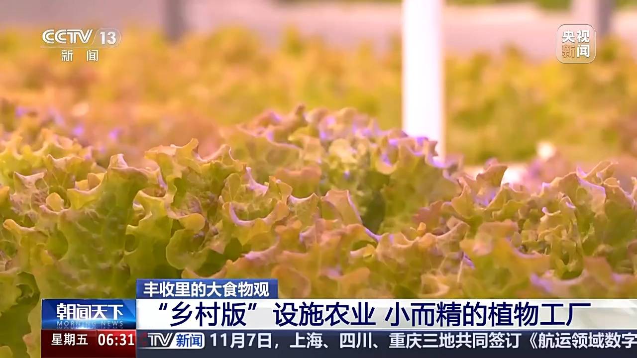 植物工厂长啥样？沙漠里能种水稻？揭秘种菜“黑科技”(图5)