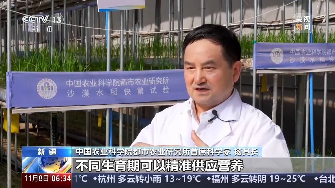 植物工厂长啥样？沙漠里能种水稻？揭秘种菜“黑科技”(图9)