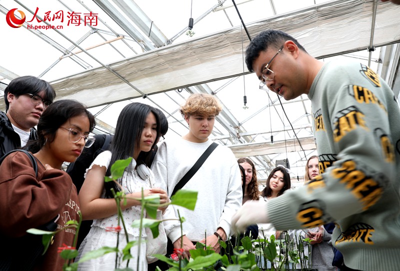 “好看好玩好吃”外籍留学生点赞七仙岭全球热带水果博览中心(图4)