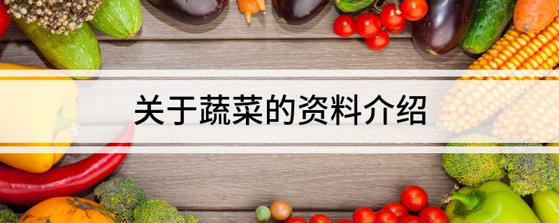 关于蔬菜的资料介绍(图1)